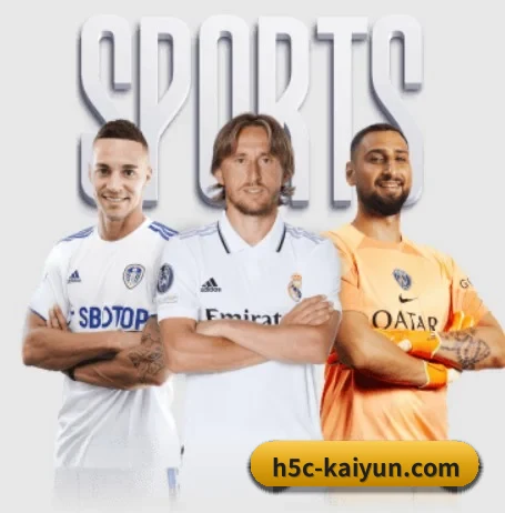 开云 APP（kaiyun）