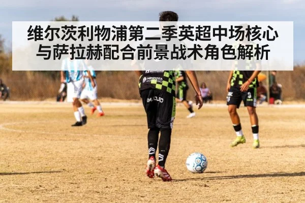 维尔茨利物浦第二季英超中场核心与萨拉赫配合前景战术角色解析（kaiyun）